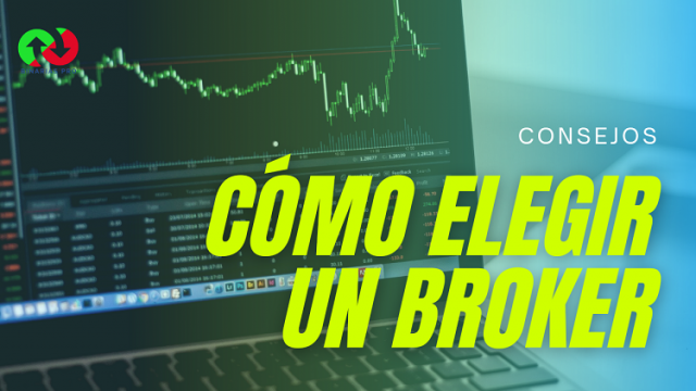 imagen-del-articulo