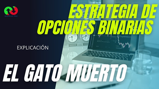 imagen-del-articulo