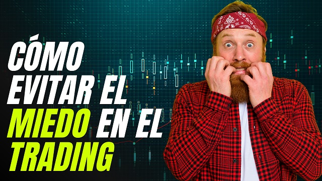 imagen-del-articulo